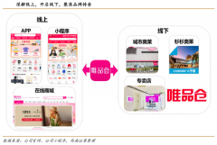 品牌私域流量策劃之高頻消費品六大打法(上)