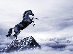 競爭戰(zhàn)略策劃之大布局企業(yè)細分三原則