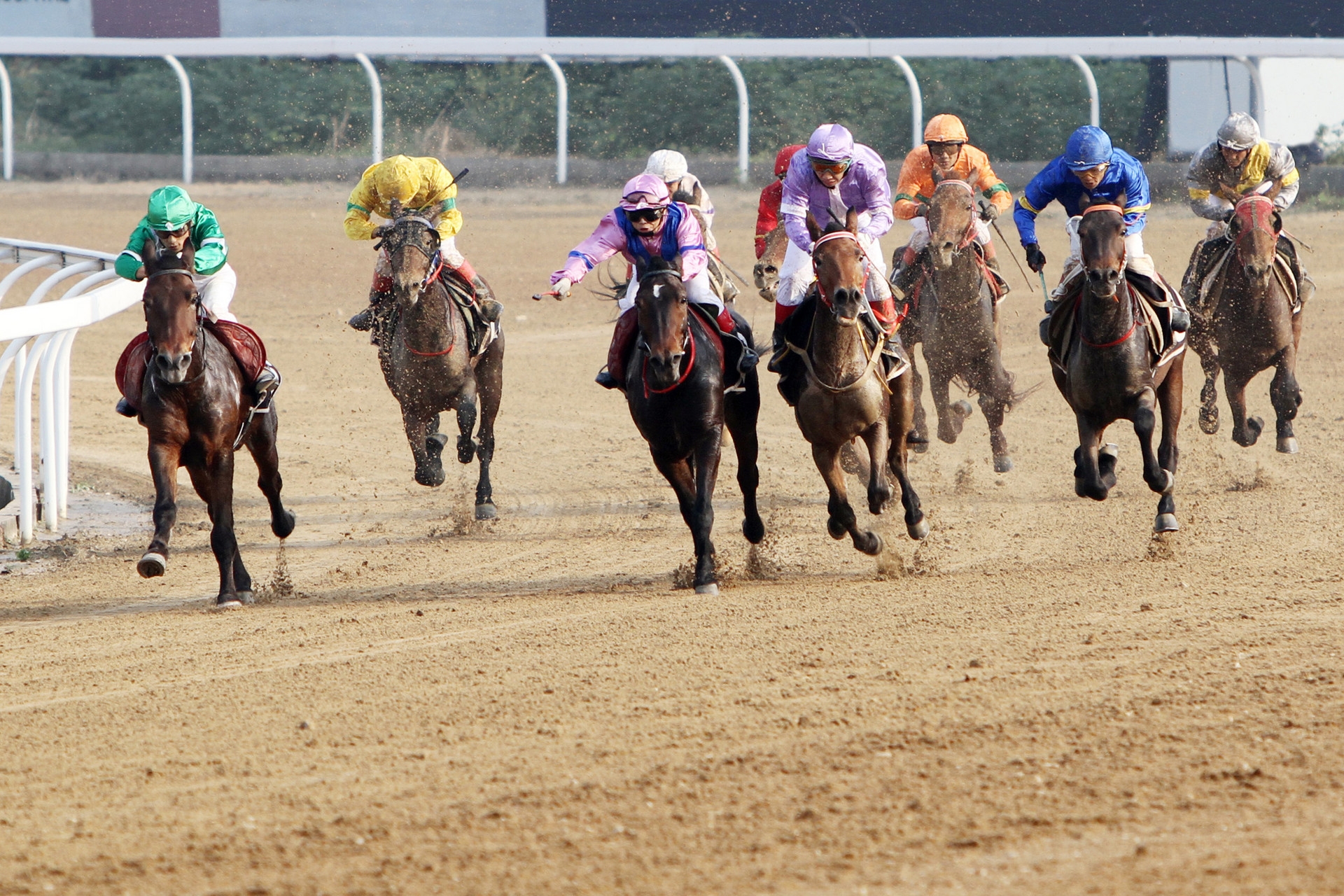 數(shù)字零售新增長(zhǎng)之賽馬式增長(zhǎng)三步